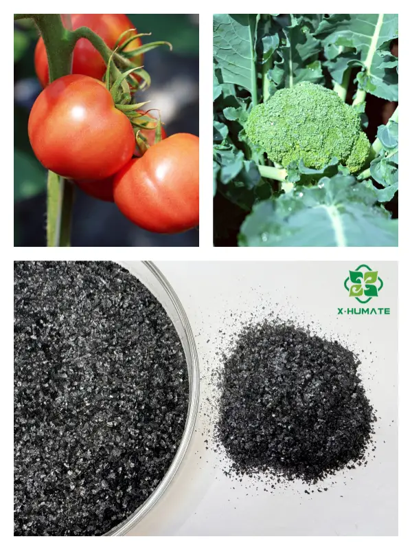 potassium humic acid